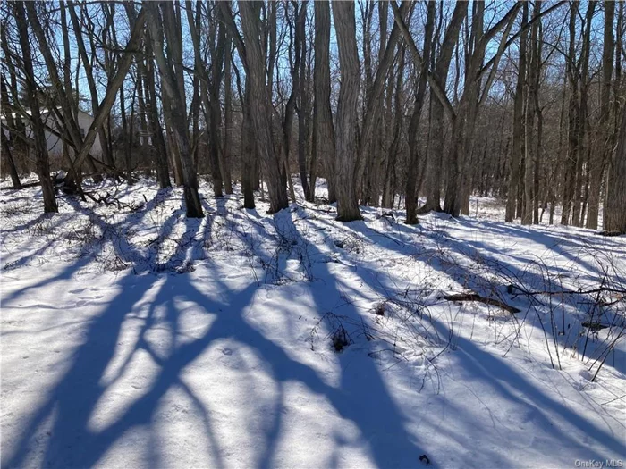 BEAUTIFUL 1.08 ACRES WOODED LOT WITH A STREAM AT THE END OF THE PROPERTY IN DESIREABLE HOPEWELL JUNCTION AREA. PROPERTY WOULD BE IDEAL FOR A HOME WITH A WALKOUT BASEMENT.