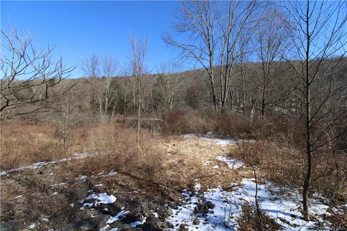 Gorgeous acreage in Youngsville! Bring your ideas to life on this scenic 48 acre lot with direct street access to Shandelee Rd/CR-149. Enjoy a prime location, only 25 minutes from the Monticello Casino, 20 minutes from Bethel Woods, and a 15 minute drive to 17M (I-86). This lot has amazing potential to create a breathtaking primary residence, campground, potential subdivision, or nature lover&rsquo;s retreat - 2.5 hours upstate from NYC, not too far to travel, but just enough to get away! Don&rsquo;t miss out on this wonderful piece of property!