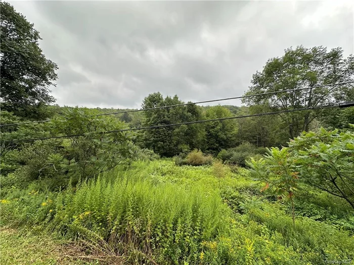 Gorgeous acreage in Youngsville! Bring your ideas to life on this scenic 48 acre lot with direct street access to Shandelee Rd/CR-149. Enjoy a prime location, only 25 minutes from the Monticello Casino, 20 minutes from Bethel Woods, and a 15 minute drive to Route 17 (I-86). This lot has amazing potential to create a breathtaking primary residence, campground, potential subdivision, or nature lover&rsquo;s retreat - 2.5 hours upstate from NYC, not too far to travel, but just enough to get away! Don&rsquo;t miss out on this wonderful piece of property!