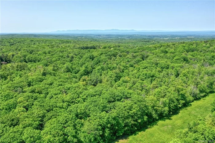 Over 84 acres of vacant land bordering scenic Wadsworth Hill and Old Gale Hill Road. Rolling land with far-reaching views. A quiet country property with lovely surrounding areas. Perfect acreage for hiking, exploring, and building your home or compound The land is in the Forest Stewardship Program with the benefits of a significant tax reduction. A 3-hour drive from NYC, 25 minutes to Bousquet Mountain for skiing and summer concerts, a few minutes to Queechy Lake for swimming and fishing, and very close to Hand Hollow Conservation Area. An additional 195 acres are also available for purchase, MLS # 6291771.