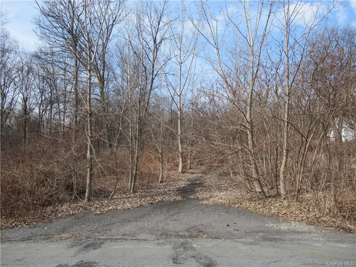 You can have both! A brand new home and the feel of an established neighborhood. This Board of Health approved building lot is a rare find in Pawling. Approved for up to 4 bedrooms, the house would sit high enough to get peek-a-boo mountain views and watch the sunsets. Partially wooded lot means mature landscaping from the time you move in. Driveway was partially installed for easy access. 1.4 acres gives you space to make plans for a big back yard, pool, garden, chicken coop or just simply privacy. Builders  this could be your project site this spring. Close to all Pawling Village amenities, restaurants, Metro North, shops and more. Make this location your forever home.