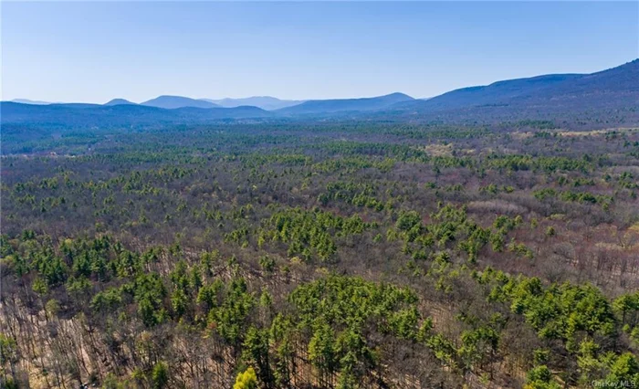 Situated at the crossroads of Woodstock and Saugerties, these two parcels offer an excellent opportunity for development. A combined 75+ acres offer two access points from Glasco Turnpike and Route 212. This site boasts preexisting logging roads, numerous sites suitable for building, and the potential for Catskill Mountain views. Ridges lined with longstanding stone walls run throughout the property. Rural and secluded yet only 3 miles miles to village of Woodstock and minutes to Saugerties. Previously approved for subdivision into 23 parcels (2007), yet suitably private for a single residence / compound.