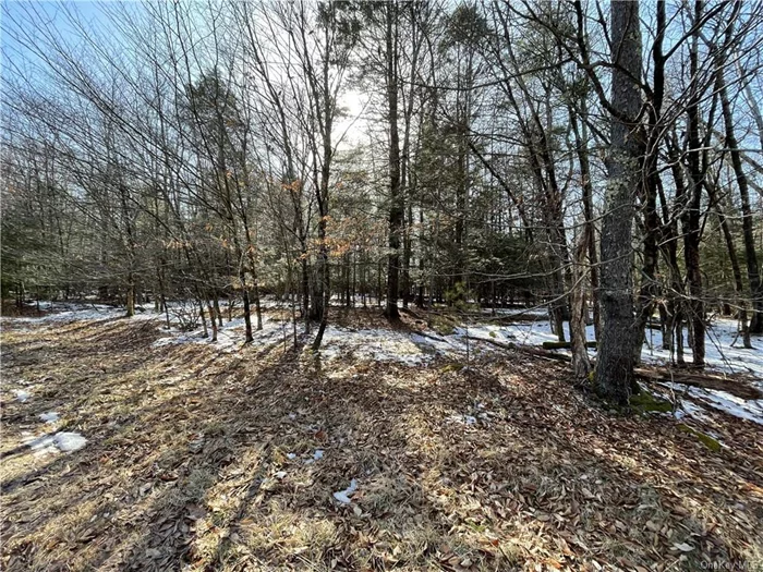 A great location to build your dream home on a beautiful 1.8 acre wooded lot in Tallwood Estates. It is situated on the left corner of Krystyna Road just before Andrew Lane. It needs to be engineered. You will enjoy the serenity of nature and the proximity of White Lake, Bethel Woods Performing Arts Center, Monticello Raceway, Resorts World Casino, fine restaurants and shopping. Close to Route 17. Experience the joy of nature and country living.