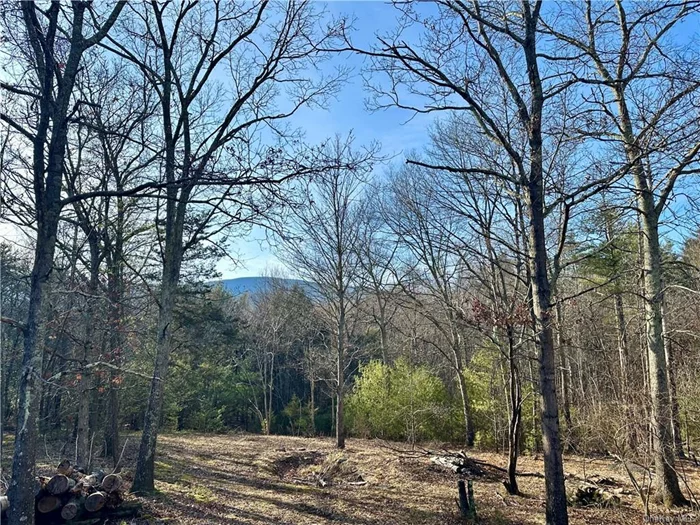 A secret country road leads to this scenic and secluded 6.2 acre lot with mountain view, well, septic and electric service in place. Powers Lane is a private unpaved road and this property has land on both sides to ensure your privacy. Enjoy the seasonal view, or clear some trees to improve.  Build the home of your dreams, or bring a tiny home and hook up to the utilities while you let your ideas percolate. It&rsquo;s an amazing location, so private, yet so close to Woodstock, Saugerties Village, the NYS Thruway and all of the hiking biking, swimming and natural offerings of the beautiful Catskill Mountains. Sheds are included in the sale.