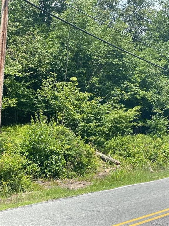 Scenic and beautiful dry wooded lot just waiting for a builder! Prime location in the Town of Fallsburg just outside Woodridge Village limits. Close to shopping and many amenities. This 3.56 acre lot is potentially subdividable. Perfect for building your home away from home.