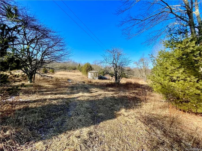 There are so many possibilities for this 22 acres that combines two adjacent tax parcels, 20 acres and a 2 acre parcel (tax map # 38.1-5-11) in a prime location on a well traveled road in one of the hottest areas in Sullivan County. Residential zoning for a single family on 1 acre, 2 family on 2 acres & multi family on 4 acres & potential to subdivide. You can also apply for a special use permit and site plan approval for various commercial uses. The property is in a choice area that is close to Bethel Woods Performing Art Center, lakes, great restaurants, Monticello Raceway, White Lake, Resort World Casino, shopping and Route 17.