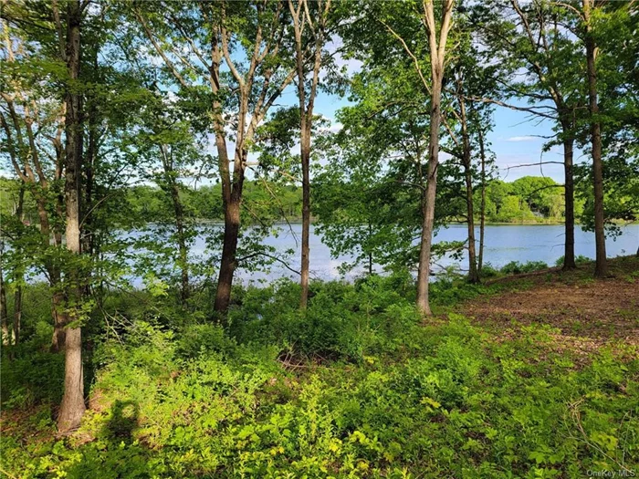 Spectacular waterfront parcel minutes to Rhinebeck with updated BOHA. Professionally groomed parcel with mature hardwoods faces east to enjoy dramatic sunrises over Long Pond, a 66-acre lake. Convenient to Taconic and 1.5 hours from NYC. Additional contiguous acreage available.
