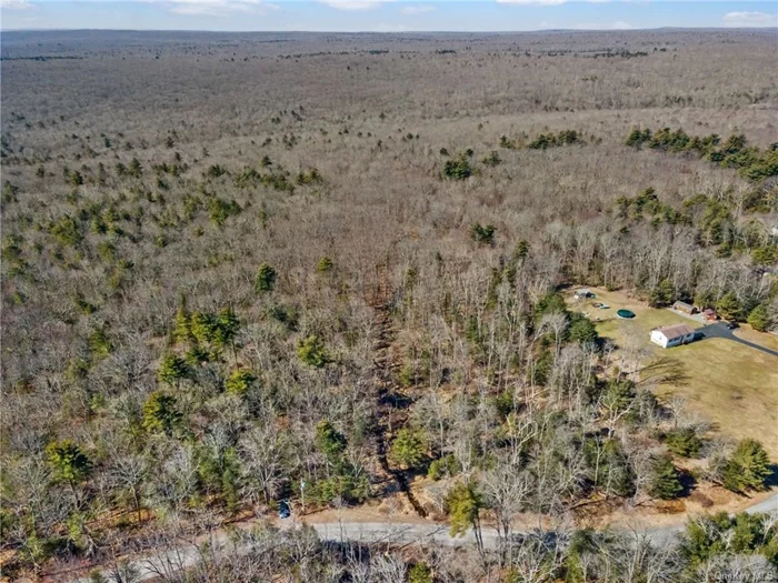 BUILD YOUR DREAM HOME!!! Check out this 7.17 Acre parcel of land located in Town of Mamakating and in the Monticello School District. This parcel is located a short 20 minutes drive to the Village of Wurtsboro featuring a variety of eateries, shopping, parks and close to most major highways including Route 209 and Route 17. This spacious lot presents a blank canvas for constructing your dream home! Positioned in a sought-after location, this prime piece of land presents ample opportunities to craft a truly unique and personalized sanctuary for generations to come. Don&rsquo;t Delay, Call now for your showing!!!