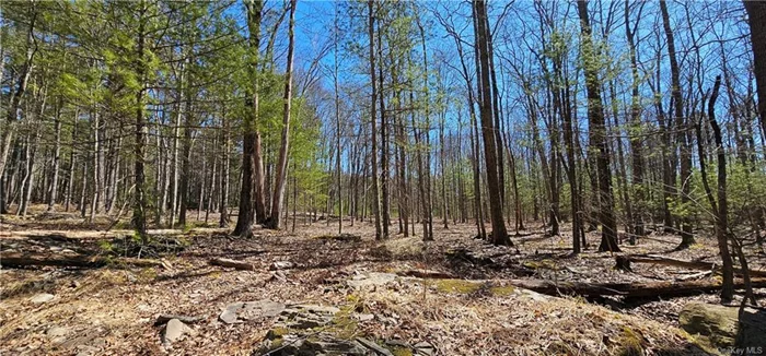 Come build the home of your dreams!! 10+/- wooded acres bordering Boy Scout land, located within minutes of the quaint town of Narrowsburg. Long gravel driveway leading to your quiet country retreat. Enjoy everything this charming river town has to offer!