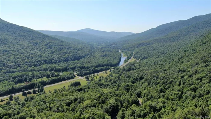 This incredible 25+ acre parcel offers breathtaking views and a unique opportunity to embrace off-the-grid living while still enjoying access to modern conveniences. The southern exposure view of the Esopus Creek and mountains of Mt. Tremper, as well as the complete privacy and seclusion, make it a truly enchanting location. Total acreage includes two seperate deeded parcels, adjoining each other. The proximity to grocery stores, restaurants, and ski centers further adds to its appeal for those seeking a balance between tranquility and accessibility. Additionally, the fact that the property borders NYS Forever Wild land at the rear of both lots adds an extraordinary BONUS in terms of natural preservation and the potential for additional recreational opportunities.