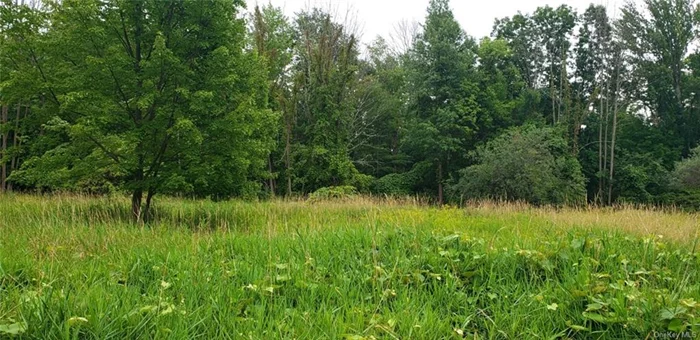 Build your new home on this beautiful 3 acre lot in the Town of Wallkill! Located on a quiet street, the lot is mostly cleared, and has a wooded area to provide privacy. Less than a half mile to the Middletown Reservoir Hiking Trails. Minutes to shopping, restaurants and entertainment.