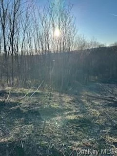 10.35 acre lot on a cul-de-sac in Arlington School District - minutes to taconic state pkwy. Located in an area of fine homes. Note land cannot be subdivided.