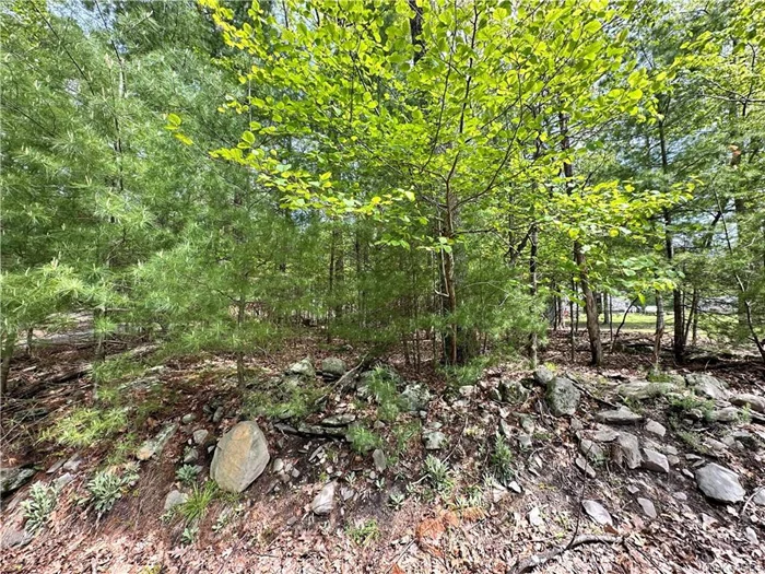 Come enjoy all lake life in the Yankee Lake community. Wooded lot on a dead end road. Yankee Lake is a non-motor lake offering fishing, kayaking, trails, community events, boating, etc. Engineering would be required to determine if this lot is buildable.