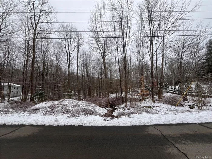 Explore the endless possibilities with this exceptional piece of land! Perfect for your dream home or investment property, this prime parcel offers ample space, privacy and potential. Don&rsquo;t miss out on this rare opportunity to make your vision a reality.