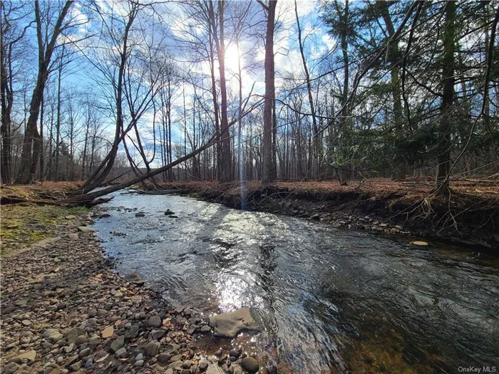 Rare find in the Sullivan County Catskills features undeveloped acreage with a beautiful rushing stream! This vacant land offers so much opportunity with municipal water, commercial and residential possibilities, and a great location in the peaceful country hamlet of White Sulphur Springs. 30.7+/- acres has close to 1400 feet of frontage on two roads. A generous stretch lies on Mineral Springs Road across from residential homes and horse farm. More frontage (362+ feet) on NYS Rt 52 is mostly cleared and level with high visibility on the well-traveled thoroughfare to Western Sullivan County. In the center of the business corridor, it is directly next to the Post Office, Church, Auto Business, Local Eatery/ Inn and more. There are distant mountain views and a beautiful stream of sparkling crystal-clear water passes through the magical woodland. Zoning is SC, Service Commercial, with many uses, and the property has access to municipal water on both roads. See zoning table in docs.