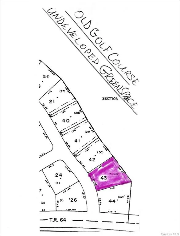 ADJACENT TO GREEN SPACE, BUILDING LOT IN EMERALD GREEN DEVELOPMENT. A RESORT LIKE COMMUNITY WITH 3 LAKES, SPORTS COURTS, MULTIPLE H.O.A. AREAS WITH OVER 1, 400 ACRES.  ONE OF THREE ADJACENT LOTS. BACKS UP TO GREEN SPACE. UNDERGROUND UTILITIES IN PRESTIGIOUS EMERALD GREEN, A RESORT LIKE DEVELOPMENT. 1400 +++ ACRES, 3 LAKES, BRAND NEW POOLS, SPORT COURTS, DOCK WITH BOAT SLIPS, BEACH, AND MUCH MORE. 90 MINUTES TO THE NYC METROPOLITAN AREA, 20 MINUTES TO MIDDLETOWN, ONLY A FEW MINUTES TO MONTICELLO, RESORTS CASINO, KAARTRITE INDOOR WATER PARK, BETHEL WOODS MUSIC HALL, AND SO MUCH MORE. THERE ARE THREE ADJACENT LOTS ON PICADILLY, FOR SALE. WE HAVE 18 LOTS AVAILABLE. THERE ARE MULTIPLE ABUTTING LOTS. WE ALSO HAVE FULLY BUILDABLE LOTS ON PICADILLY CIRCLE, AND LAKEFRONT ON MANCHESTER.