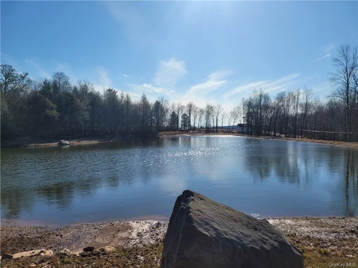 Have you ever wanted your own private spring fed lake/pond then this is it. 26 acres which consists of 2 adjoining lots each approx 13 acres. Two driveways already cut in along with 2 cleared areas for potential home sites over looking the water. Lot 29.8 has a barn on a full concrete slab overlooking the water, along with electric and a drilled well. In addition there is a slab from a previous home on the lot, along with a clearing for a potential home site. Lot 29.7 has a One room school house in excellent condition, new roof put on in 2022. Driveway cut in along with second cleared area over by the water. Back section of both lots has natural spring and a smaller pond that overflows into larger body of water. Land is zone AC ( agricultural/conservation )