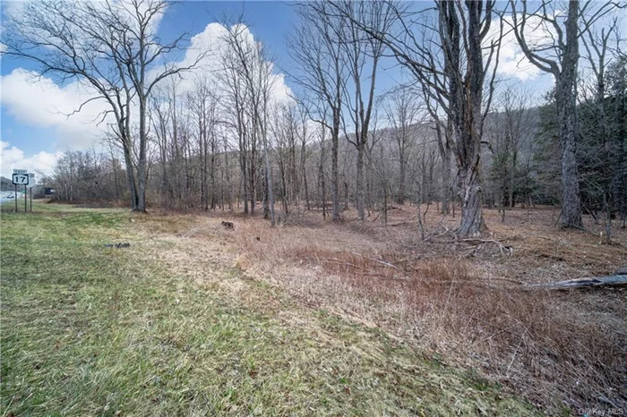 Passive Income Opportunity on Prime NY-17 Highway, in fast-growing Sullivan County NY.   Attention savvy investors - this is a chance to acquire a highly lucrative passive income stream without the headaches of tenant management. Situated directly on the bustling NY-17 highway in Livingston Manor, NY, this 10+ acre parcel is zoned SC (Service Commercial), offering flexibility and revenue.  The crown jewel of this offering is the two permanent billboard structures currently generating monthly lease income - no work is required on your part, just sit back and let the money roll in. This is stable, hands-off cash flow in place.  Billboards, at the same time, hold the land for future appreciation, this investment is poised to deliver consistent returns for years to come.  Livingston Manor is experiencing significant population growth, making this commercial property a strategic long-term investment.   in addition, with more than 10 acres of land, plus, little beaver kill stream this property makes the perfect hunting and fishing opportunity. this property does not have direct access, access is directly from the NY-17.  Boasting prime highway frontage and easy accessibility, this commercial property is an investor&rsquo;s dream. Don&rsquo;t miss your opportunity to capitalize on this turnkey passive income stream.