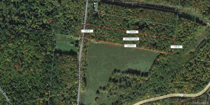 Build your dream home or a weekend get away home. This lot is nestled in Sullivan County & minutes from White Lake, Kauneonga, Lake Superior & waterfront dining. Close to shops & hiking trails. This lot is located near Bethel Woods Center for the Arts & about 10 mins to Resorts World Casino Catskills and Kartrite Resort & Indoor Water Park. Just a short drive to the Delaware River and PA as well.