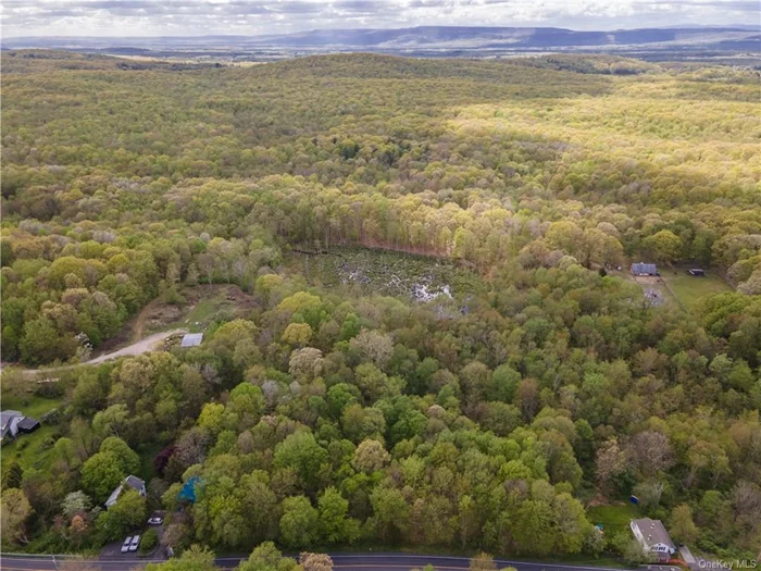 BUILD YOUR DREAM HOME!!! Check out this 10.200 Acre lot nestled in the Town of Plattekill and in the Marlboro School District. This lot is located a short 10-15 minutes drive to local shopping centers, restaurants, parks, schools, and close to a variety of attractions including Rocking Horse Ranch, Walkway Over the Hudson State Historic Park, Hudson River, the Hudson Valley Sportsdome, Liberty View Farms, the Illinois Mountain Park, and this parcel is close to most major highways including Route 44/55, Route 9W and the Mid-Hudson Bridge. This parcel is priced just right and ready to sell. CALL TODAY FOR YOUR SHOWING!!!