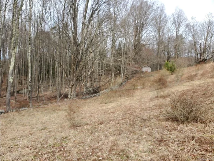 GRAHAMSVILLE, TOWN OF NEVERSINK!! 8.5 wooded sub-dividable Acres with 16 X 20 shed. Tri-Valley Schools! Low Taxes! A small stream runs through the property.  Build your vacation home or forever dream home. Road is plowed and maintained by the Town of Neversink Highway Dept. Minutes from town. Grahamsville is the home of the Little Worlds Fair & the Giant Pumpkin Party, Time & the Valleys Museum, & the Daniel Pierce Library. Go to the Fairgrounds & use the pool in the summer & ice rink in the winter. Play tennis, basketball, volleyball, horse shoes & pickle ball on the well maintained courts. Minutes from the Rondout & Neversink Reservoirs where you can hike, fish, boat, kayak & hunt with a free permit. Close to Bethel Woods Center for the Arts, Resorts World Catskills Casino & Kartrite Indoor Water Park. Subject to all state and local zoning restrictions.