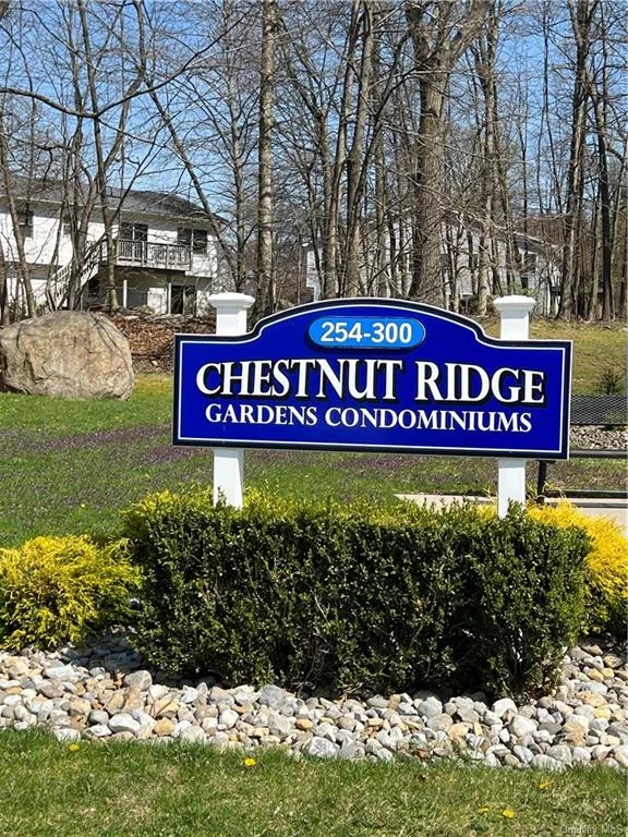 55+ COMPLEX! Come enjoy quiet and care-free living in this great 1 bedroom, 1 1/2 bath rental! This condo is located in a 55 and over complex, Chestnut Ridge Gardens. The open floor plan shows off a galley kitchen with a large window, dinning area, and a great living room! Beautiful balcony overlooking wood gives plenty of privacy during summer month. Both bathrooms have been updated.. The bedroom has a walk-in closet. Great location. Close to all. Bus, Shopping, Parks.