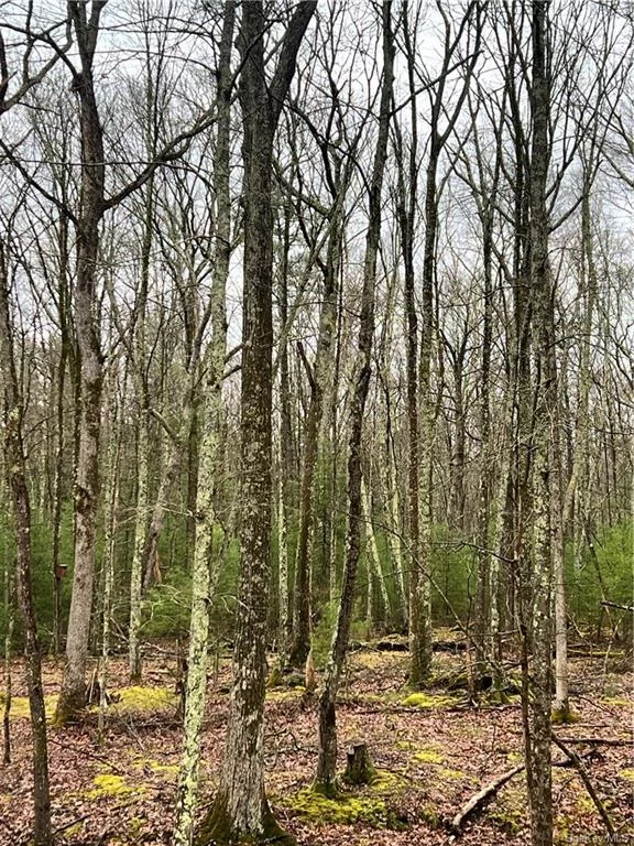 Rare opportunity...this spectacular wooded lot with a drop off view of gorgeous state land in the back. Within a mile of the Rio Reservoir for kayaking, canoe paddling, fishing .. swimming or just eagle watching. There is a path that you can walk to the edge of the property. Wow opportunity with great location .. Close to Hawks Nest, the Delaware River.. Barryville and Eldred.