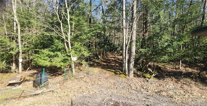 Sizeable 0.63 acres lot with the municipal water and sewer available at the end of the road sitting higher from the road, walking distance to the S Fallsburg. Check it out.