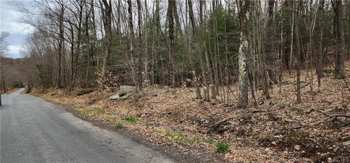 On the country road in Town of Fallsburg near by a hamlet of Woodbourne this nice piece of property offer beautiful mature trees, rolling property, upland for your dream home or recreation, camping is allowed by the town.