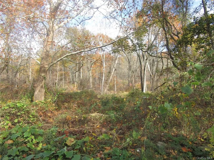 Amazing opportunity to build your dream home or investment property. 9 acres in the town of Yorktown with water and sewer. Build yourself or we will build to suit. Conveniently located to Highways, shopping, restaurants, schools, and more.