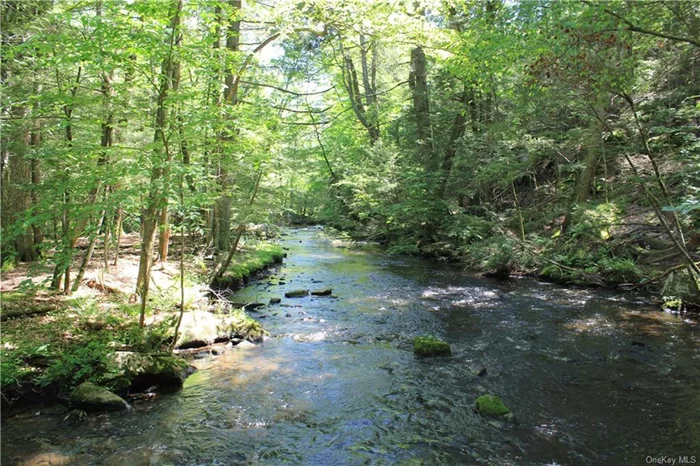 Build your dream home or compound surrounded by the natural beauty of this stunning 44-acre property located within one hour drive to NYC. The Mill River meanders through a landscape filled with mountain laurel, pine, and hemlock in this unspoiled corner of Pound Ridge. This incredible offering includes 10 building lots providing endless possibilities for development and a stunning backdrop to build in pristine, forever privacy. Close to shops and restaurants in Scotts Corners, Pound Ridge. Short drive to New Canaan and Stamford, CT, Merritt Parkway, I-95, and train.