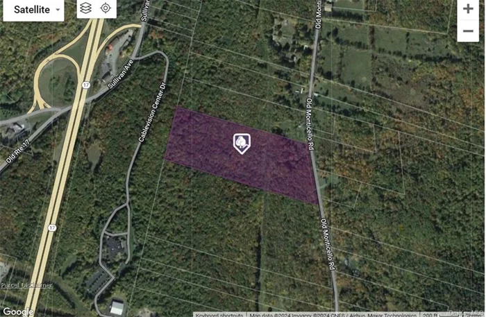 Rare opportunity! This 22-acre parcel in Liberty, NY, is a savvy investment amidst the area&rsquo;s booming construction. Just a stone&rsquo;s throw from local amenities like grocery stores, restaurants, and medical offices, its prime location offers both convenience and potential. With proper approvals, envision a future development site. Alternatively, embrace the serene natural beauty dotted with fruit trees, mature timber, and stone walls to create your ideal homestead. Don&rsquo;t miss out on this versatile and promising investment opportunity! If you haven&rsquo;t seen all the new and exciting things happening in Liberty, you better look again. Located just minutes from Route 17 and 90 minutes from the city.