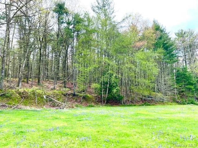 Beautiful level land cleared and ready for your dream house plans! Minutes to Port Jervis for commuter trains and buses, SOHO style shops, restaurants, the Delaware River for recreation, hiking trails, farmers markets and so much more. 2 acres of prime country land level with mature deciduous and conifer trees. Don&rsquo;t wait to view and purchase this lovely property.