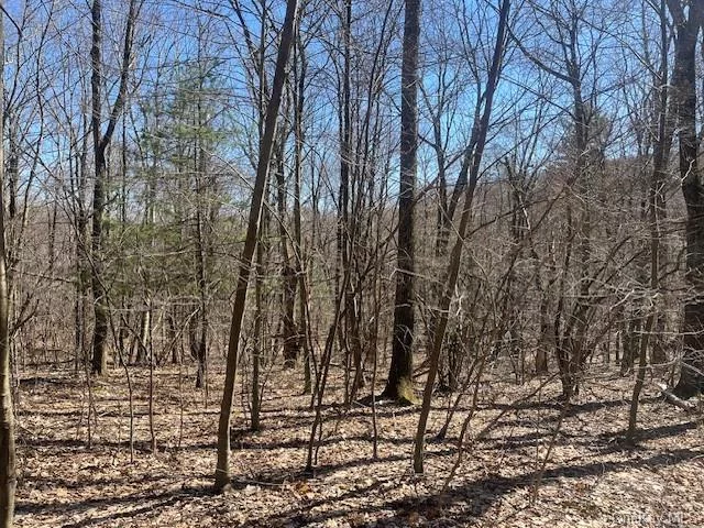 22 Acres on quiet byway with striking view of Berkshires. Adjoins other luxury properties. Easy commute to Tanglewood and the Berkshires. BOHA private building site with driveway and views of Berkshire Mountains. Close to Hillsdale, Chatham and Canaan and not far from Hudson.