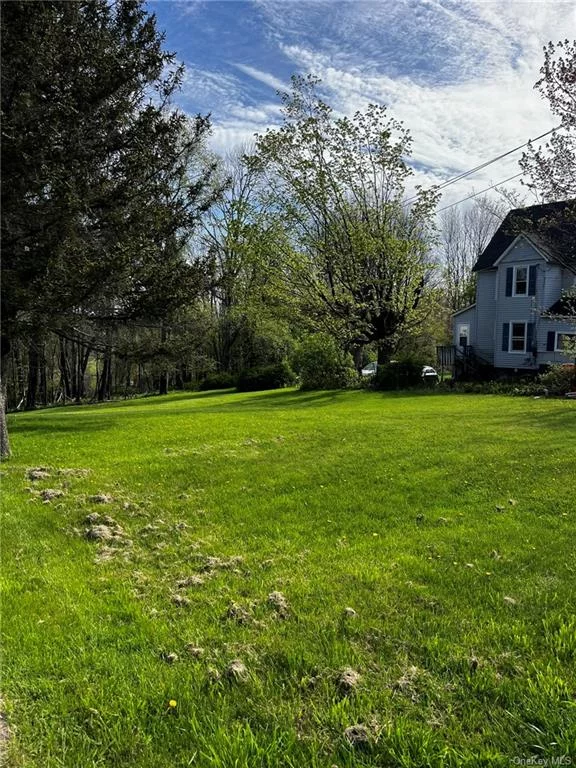 Wide open and almost level village lot just waiting to be built upon. All utilities available - walking distance to all village amenities A truely great opportunity awaits.