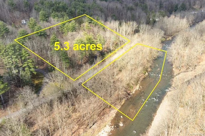 Here is an opportunity for you to own a 5.34-acre parcel of pristine Phoenicia residential land bordered by the Esopus Creek, a fly fisher&rsquo;s favorite, and a dream feature. Most of the parcel is elevated above the flood plain with a designated building site amidst a secluded grove, ensuring privacy and serenity. Enjoy breathtaking mountain vistas, a meandering stream running through the property, and a seasonal pond ripe for enhancement. The unique additional feature of a 1.56-acre waterside area portion, graced by historic train tracks running through, and divided by Herdman Road, is a bonus feature that presents an exclusive opportunity for private leisure activities and waterside recreation. Well-tended by the owner, the upper portion of the property&rsquo;s bluff location affords seclusion, while the shared driveway access ensures convenience. With prior surveying and perc testing, this parcel is primed for creating your dream retreat or primary country home. Located in the heart of the Catskills, Phoenicia, NY offers a serene escape with a vibrant array of amenities and recreational activities. This charming area is renowned for outdoor adventures like hiking and fishing in pristine Woodland Valley, while the Empire State Railway Museum provides a glimpse into the rich history of the region. Culinary enthusiasts will appreciate the local cuisine available at farm-to-table restaurants and the chance to visit artisanal craft breweries. Art lovers and collectors will find the town&rsquo;s galleries and antique stores offer unique finds, ensuring there is always something to discover. Phoenicia&rsquo;s stunning natural surroundings and welcoming community make it an enchanting location to live.