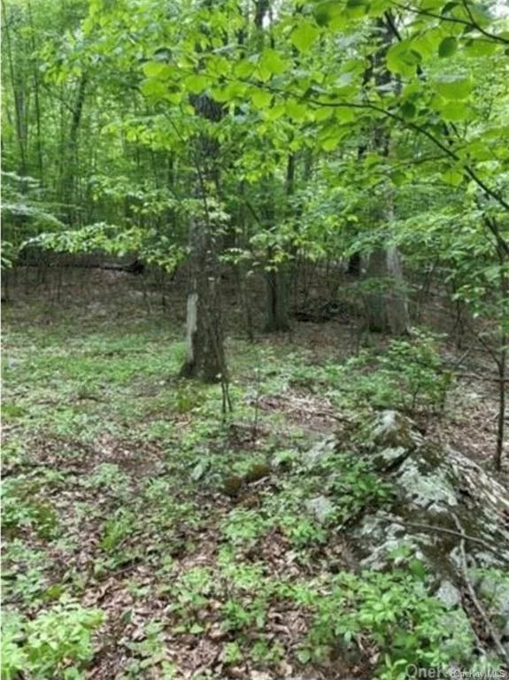 Calling all builders/investors! Here is your chance to buy this legal subdivision! 3 lots on a country road....Peaceful surroundings, yet minutes to the village of New Paltz, I-87 and Route 9W. Build 3 homes to sell or build your own dream home and surround yourself with acres of privacy, many possibilities! Three lots total 11.2 acres. Call today for more information.
