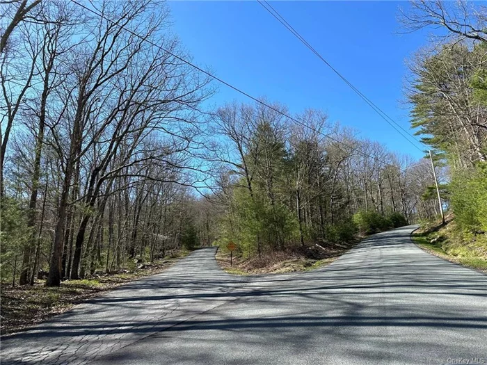 Dream of building? WOW! WOW! WOW! This amazing lot offers dual road frontage and a beautiful rocky stream towards the front of the property where the two roads meet. Electric at the road makes getting started on your vision easy and convenient. Located up a beautiful mountainside just 1 minute from the center of Barryviile, NY and the fabulous Delaware River sits this dream lot location among other beautiful homes and woods and peace and quiet. Do not wait. This lot is simply breathtaking.