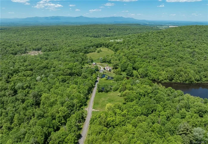 Private and peaceful. This property totals 265.17 acres and is comprised of five lots. With approximately a half mile of road frontage on both sides of Skiba Road, one could create a compound or develop lots with views to the Catskill Mountains and still retain a home for yourself. Three of the lots are subdivided and ready for future development. Currently there is a lovely farmhouse built in 2011 with a detached two car garage and a large pond on the 140.20 acre lot. Delight in the peace and serenity this property offers with trails throughout the woodlands. Just 15 minutes to Pine Plains, 25 minutes to Rhinebeck, 2.5 hours to NYC and easy access to the Taconic State Parkway.
