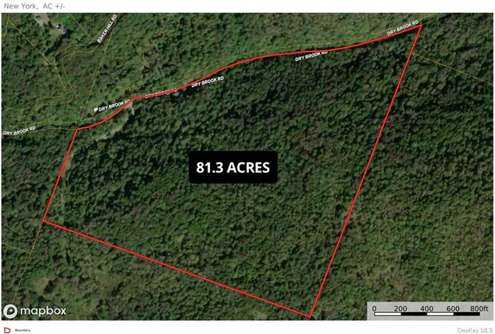 The potential of this versatile 80+ acre property is limited only by your imagination. Located minutes from the highway and local attractions yet private and secluded, this parcel is ideal for the outdoor enthusiast and entrepreneur. Aside from vast acreage of land for hunting and recreation, the lot hosts a bluestone quarry, has potential for energy extraction, and meets requirements for enrollment in a tax saving forestry plan. The quaint cabin on a private drive provides a home base from which to explore and expand. Come take a stroll through a hidden Catskill gem.