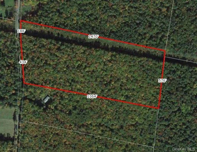 Location, Location! 19.2 Acres in Bethel zoned for one family dwelling but possibly more with the Planning Board Approval. Approximately 600 feet road frontage and 1400 feet deep. Enjoy hunting, 4 wheeling and exploring nature. Close to Bethel Woods, farmers markets, Delaware River, lakeside dining, Resorts World Catskills Casino and Kartrite Waterpark. Sullivan County is a vibrant destination for experiencing art, festivals, hiking, boating and swimming. Breathe in the fresh country air, climb the mountains, swim the lakes and paddle the rivers. The 2024 season is here!