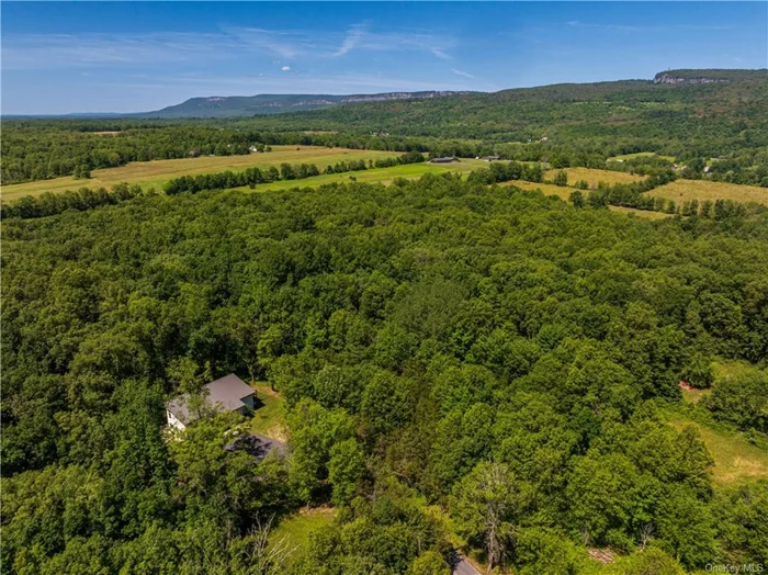 Nestled on 9.1 acres of private, sought-after land, yet just a mile from the vibrant town of New Paltz, this ultra-modern home offers an unparalleled living experience. A 1, 200-foot driveway ushers you into a world of tranquility, where contemporary design meets natural beauty in perfect harmony. The single-pitch, standing-seam roof and sleek metal siding seamlessly blend with the lush surroundings, offering a striking first impression. Step inside to discover the home&rsquo;s unique character, highlighted by its insulated concrete construction and two polished concrete walls that create a bold, custom aesthetic. At the heart of the home lies a gourmet kitchen designed for culinary enthusiasts, featuring top-of-the-line appliances, granite countertops, and a spacious peninsula bar perfect for cooking and entertaining. The kitchen&rsquo;s open design extends to the second floor, showcasing a dramatic 24-foot wall with eight-foot windows that flood the space with natural light and offer breathtaking views of the surrounding woods. The first-floor primary suite is a luxurious retreat, complete with an ensuite bath featuring a deep soaking tub and a separate tiled shower for a spa-like experience. Each additional bedroom also boasts its own private ensuite bath, ensuring convenience and privacy for all. Outside, a wrap-around patio invites you to dine al fresco, relax, or simply take in the serene beauty of the property. A hot tub provides the ultimate spot for unwinding while soaking in the starry night sky or the lush, green landscape. This home isn&rsquo;t just about beauty it&rsquo;s designed with energy efficiency in mind, featuring radiant heat within the polished concrete floors for year-round warmth and comfort. Combining innovative design, modern amenities, and energy-efficient living, this architectural gem offers a contemporary lifestyle infused with the tranquility of nature. Just a mile from New Paltz, this home is an exceptional opportunity for those seeking a sophisticated, serene escape.