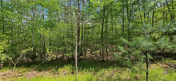 Private lot! Come build your dream home on this 5+/- acres of mostly level, wooded land. Perfect for hunting, camping, and simply enjoying nature.