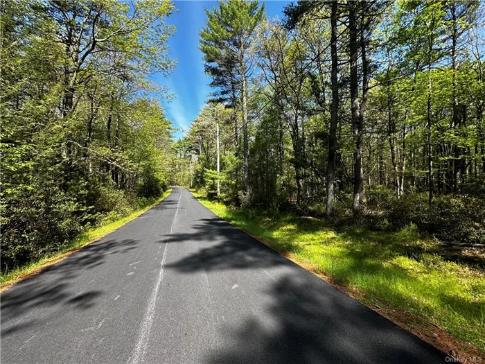 Beautiful 7 +- acre wooded land in the Prestige Timberlake Estates Yulan, NY. Access to community beach. Gated community. Close to shopping, schools, restaurants, activities as casino, water park, skiing, fishing, hiking. In 15 minutes drive: the Barryville Farmers Market, the Delaware River, Gas stations. Come and schedule a showing today!