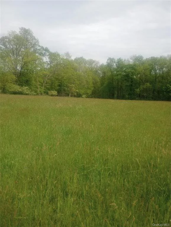 4900+ feet road frontage on 3 roads, make this property great for a single-family home, family compound or a possible 16+ lot subdivision. The sale also includes 2 separate lots which makes a combined acreage of 43+ acres. Lot size in the Town Of Minisink for single-family homes is 2 acres with 200 road frontage. There is an unfinished access road to the field on Mandys Road along with a road cut for future development. There is 837 feet on Rutgers Creek that is stocked every year with Trout.
