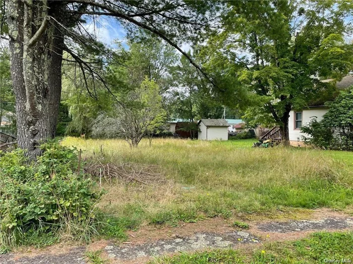 Property is on maple Ave not street. Build your dream house,  walking distance to Lake loch sheldrake, to houses of worship & town center. Water and sewer on land. become a member of pool community for small fee. One of the last buildable lots. Great location ! Nice neighborhood !  Possible owner financing.