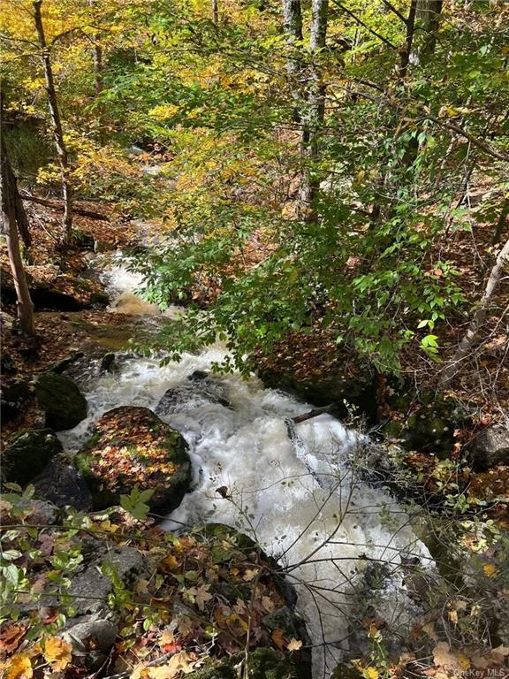 Developers/Builders Opportunity: 42.51 Acres of wilderness.  Approximately 92 miles from New York City. This property has it all! Active stream, trails for hiking or ATV&rsquo;s, hunting, fishing, wood for firewood and more. Approximately 8 miles to Resorts world or Monticello Raceway casino. Close to the town of Monticello and shopping.  10 duplex structures can be built there or 17 single family homes. existing drilled-well condition unknown.