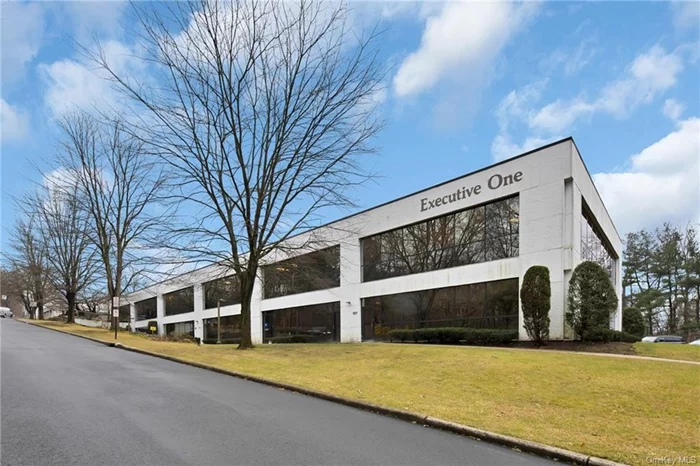 Professional office space in the prestigious Executive One Complex in Suffern, NY. The suite is freshly rebuilt. This highly sought-after address is located next to the NYS Thruway exit 14B and is easily accessed from Orange, Rockland, and Bergen Counties. Close to Food Shopping & Transportation. Space includes two large offices a kitchenette, two bathrooms, waiting and reception area. Reserved parking plus plenty of unreserved spaces.