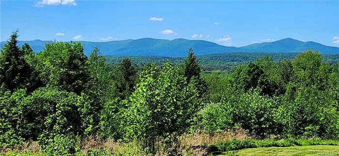 These two parcels, together equal 80 acres of prime mountain-view property located in one of the most desirable areas in the Hudson Valley, Accord, N.Y. Positioned just west of the Mohonk Mountain House, set on the highest elevation between the Catskill and Shawangunk mountains, the property offers sweeping views of both mountain ranges from a multitude of possible building sites. The land, atop Ulster County&rsquo;s largest producing freshwater aquifer, is rolling and gently sloped with mature and young growth forest that surround grassy openings, all connected by roadway paths that suggest many options within a developmental design. There is a large spring fed swimming area for recreation, ziplining in the summer and ice skating in the winter. In a perfect location with spectacular views and favorable Hamlet District Zoning for many uses, this property offers an unequalled opportunity of investment in the best of living and experiences in the Hudson Valley. Parcels 76.2-3-8.117 is 42 acres & 76.2-3-8.115 is 38 acres. May be purchased separately.