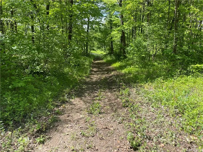 Accepted offer as of 5/25.Picture your dream home on this pretty picturesque setting with a long private driveway. Located in Salt point and Arlington school district,  this 2 acre parcel is board of health approved for a 4 bedroom home.The driveway and homesite have been cleared and ready to build. Looking for seclusion and a pretty county setting, look no further.